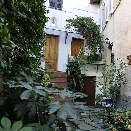 Elena House